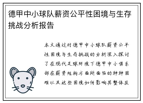 德甲中小球队薪资公平性困境与生存挑战分析报告