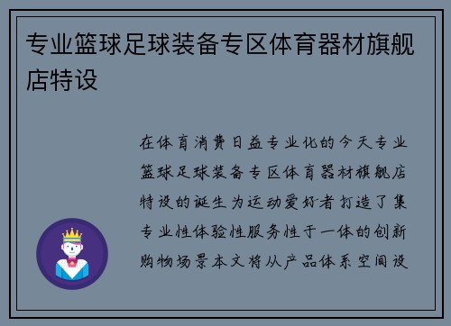 专业篮球足球装备专区体育器材旗舰店特设